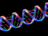 Meet with the&nbsp;Geneticist